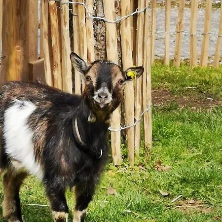 Heeser Hof - Urlaub Im Gruenen شقة