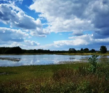 Heeser Hof - Urlaub Im Grünen Weeze