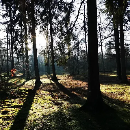 Heeser Hof - Urlaub Im Grünen Apartment Weeze