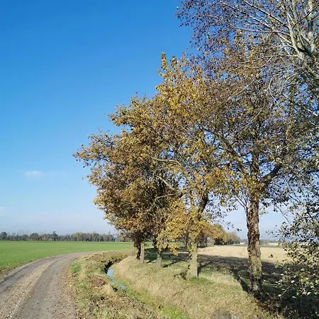 Heeser Hof - Urlaub Im Gruenen شقة