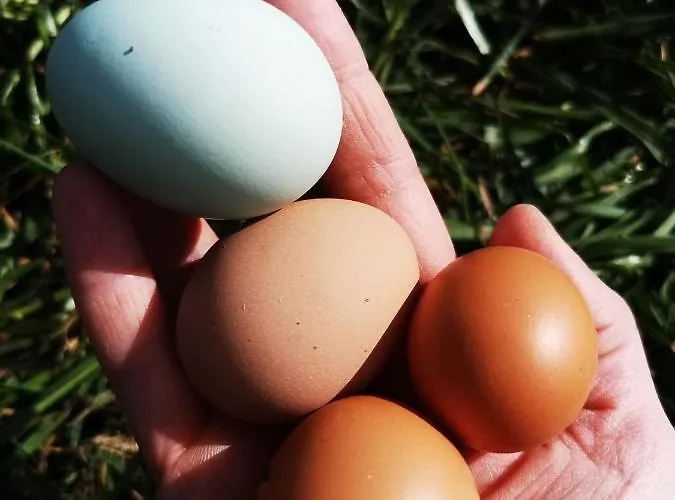 Lejlighed Heeser Hof - Urlaub Im Gruenen *