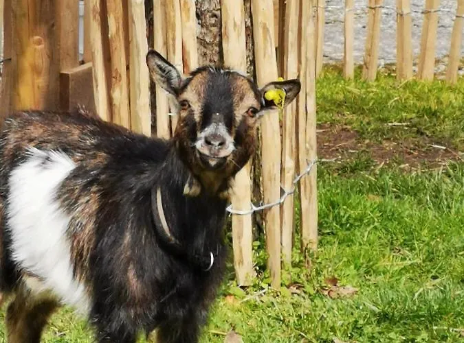 Heeser Hof - Urlaub Im Gruenen Lejlighed