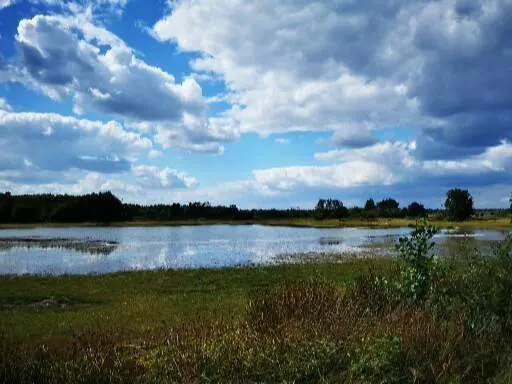 Heeser Hof - Urlaub Im Gruenen Weeze