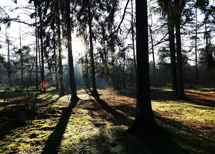 Heeser Hof - Urlaub Im Gruenen Lejlighed Weeze