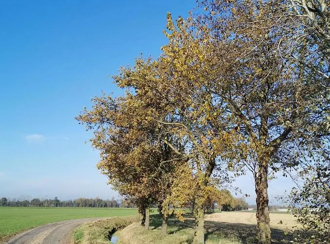 Heeser Hof - Urlaub Im Gruenen Lejlighed